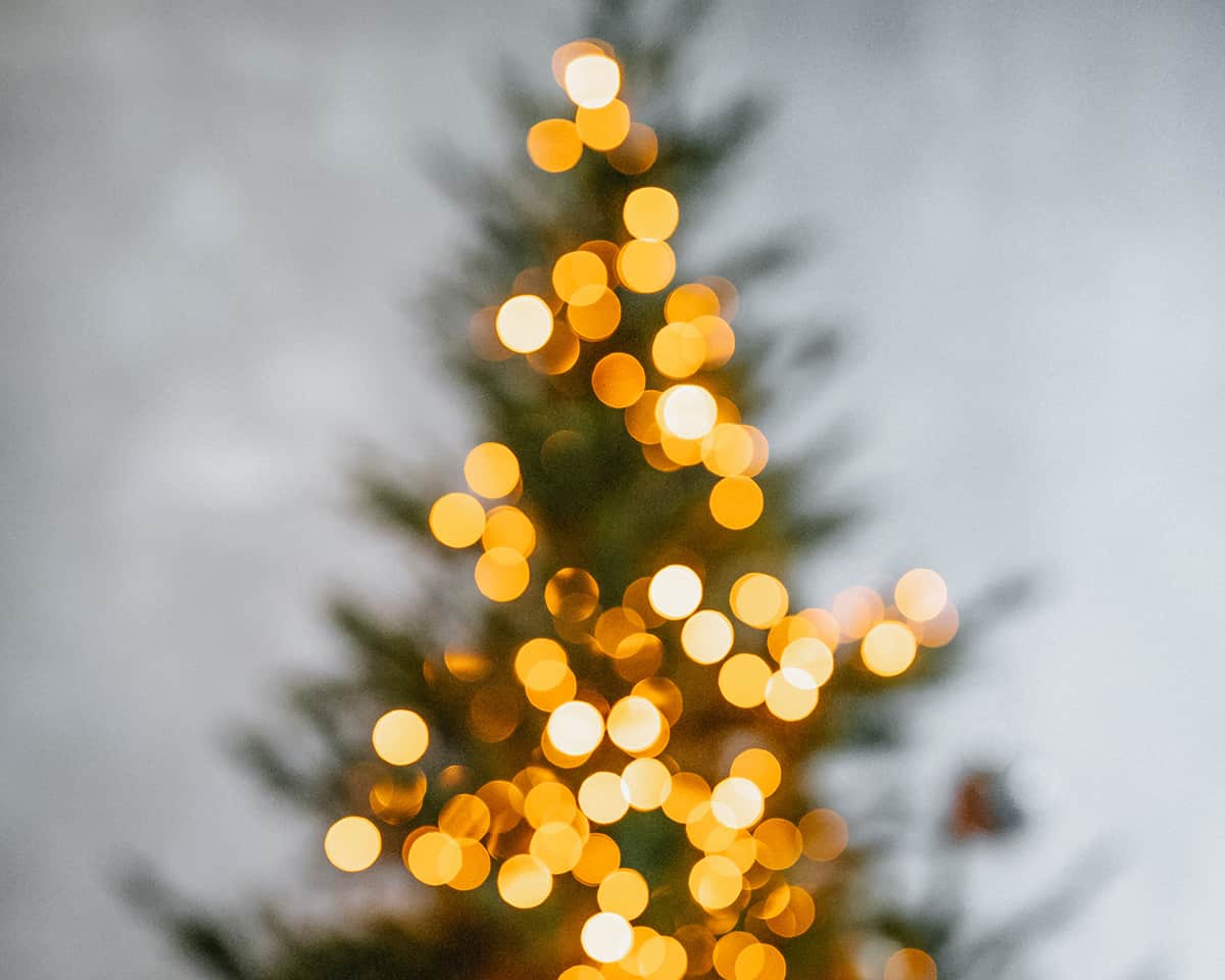 NEIMAN MARCUS KICKS OFF THE SEASON WITH 'HOLIDAY FANTASY' GIFTS - MR ...